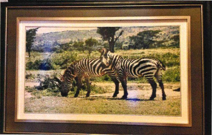 Cross-stitch artwork of two zebras grazing side by side on green plains, with trees and hills behind, in a dark frame.